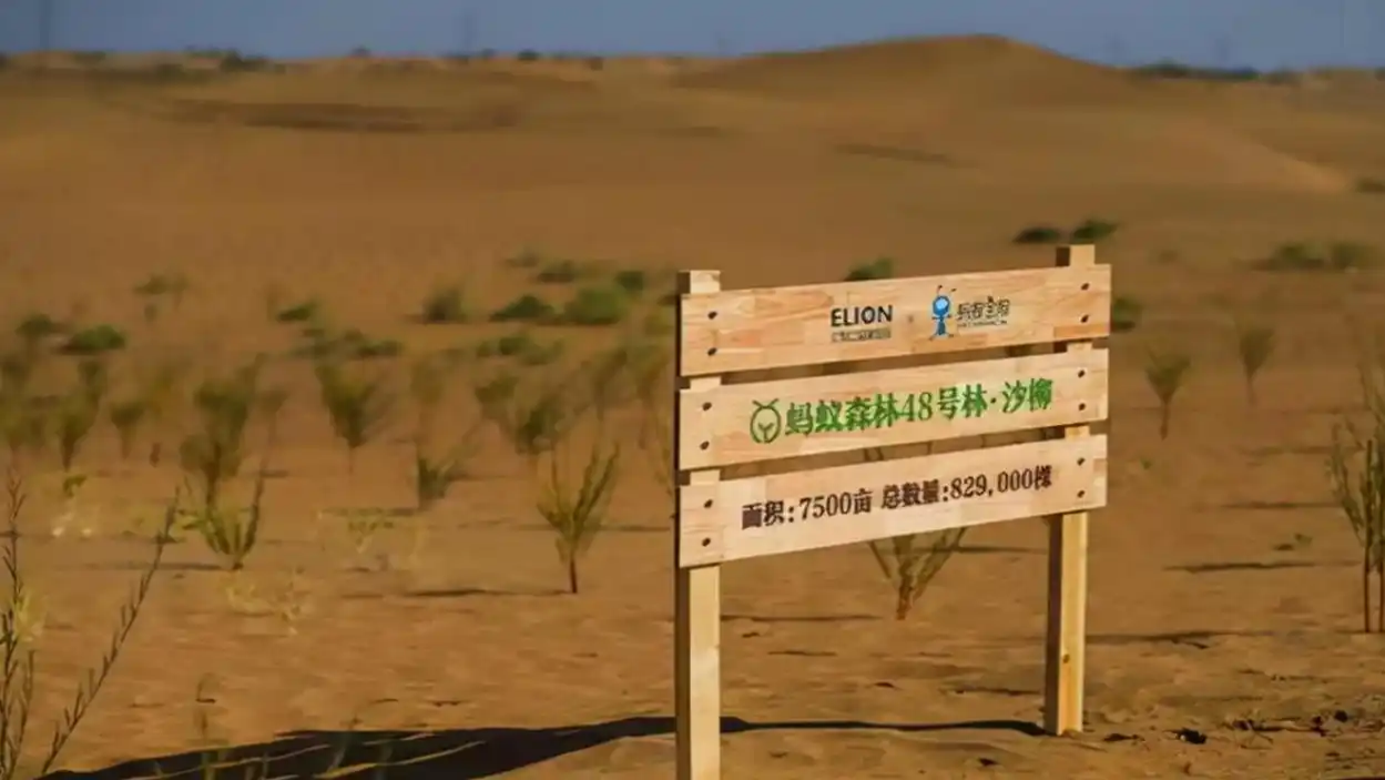 u=3530880301,2128610809&fm=253&fmt=auto&app=120&f=JPEG_副本.png