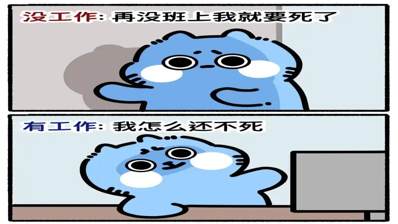 它对简历投递和反馈有何影响?